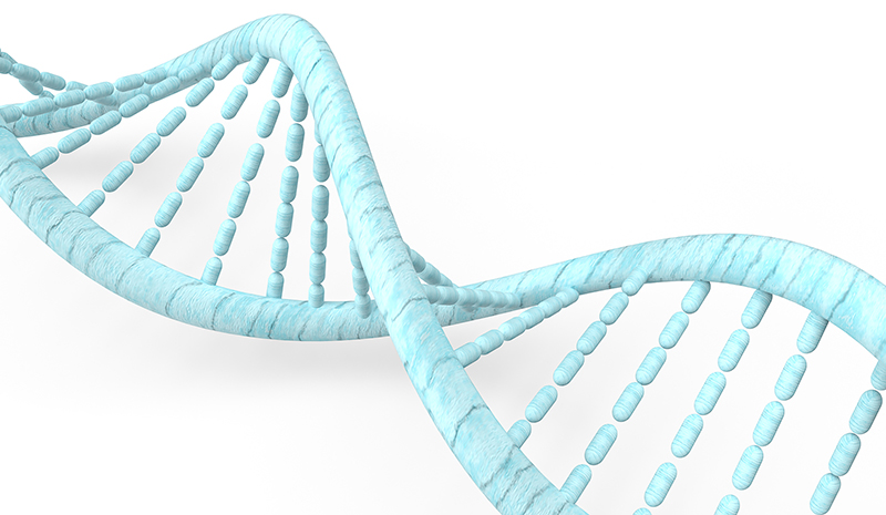 The blue DNA in white background for  medical concept 3d rendering.